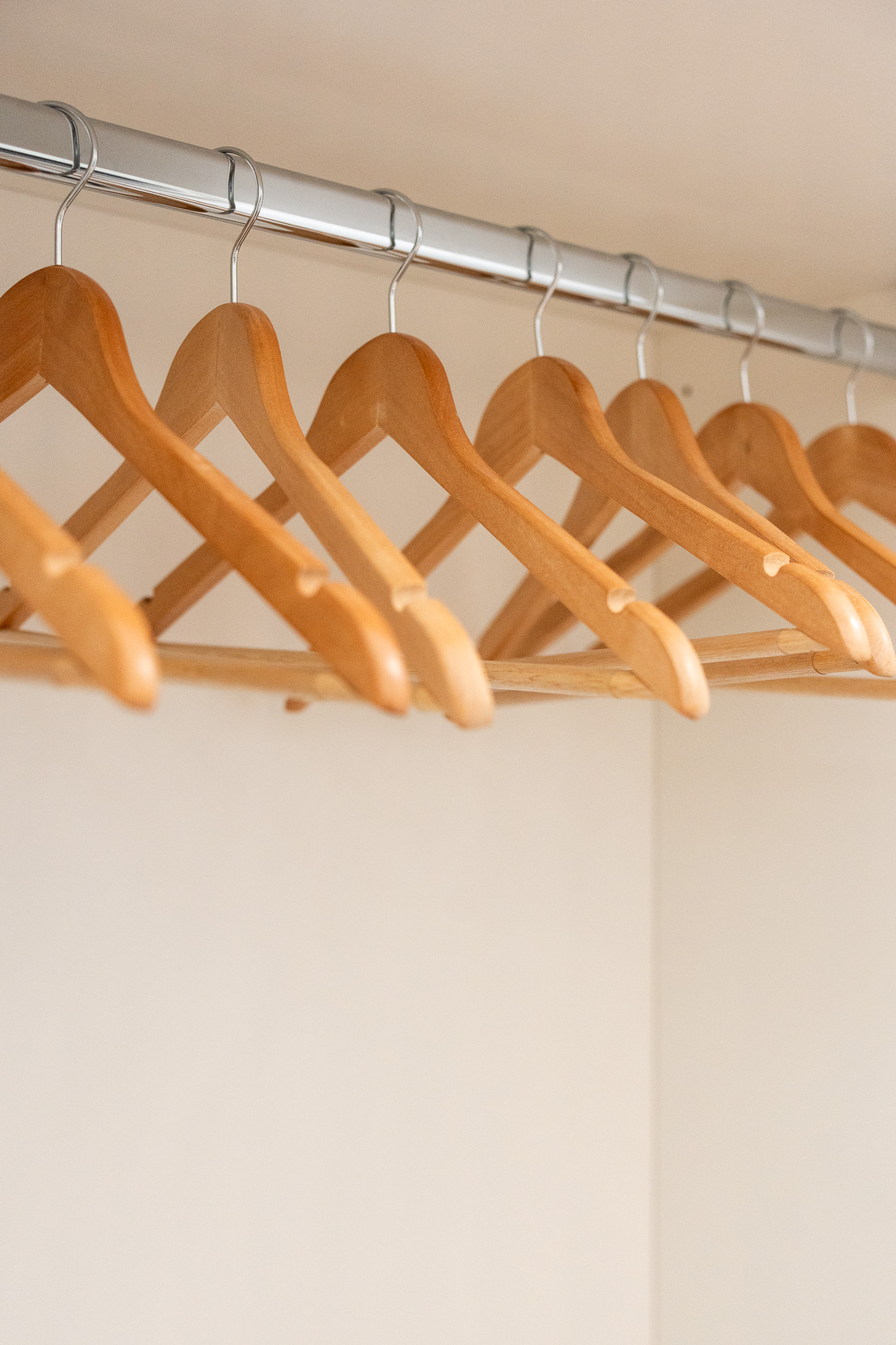 _nf-LeisureDomus_31_M1_Armadio_dettaglio appendiabiti.jpg