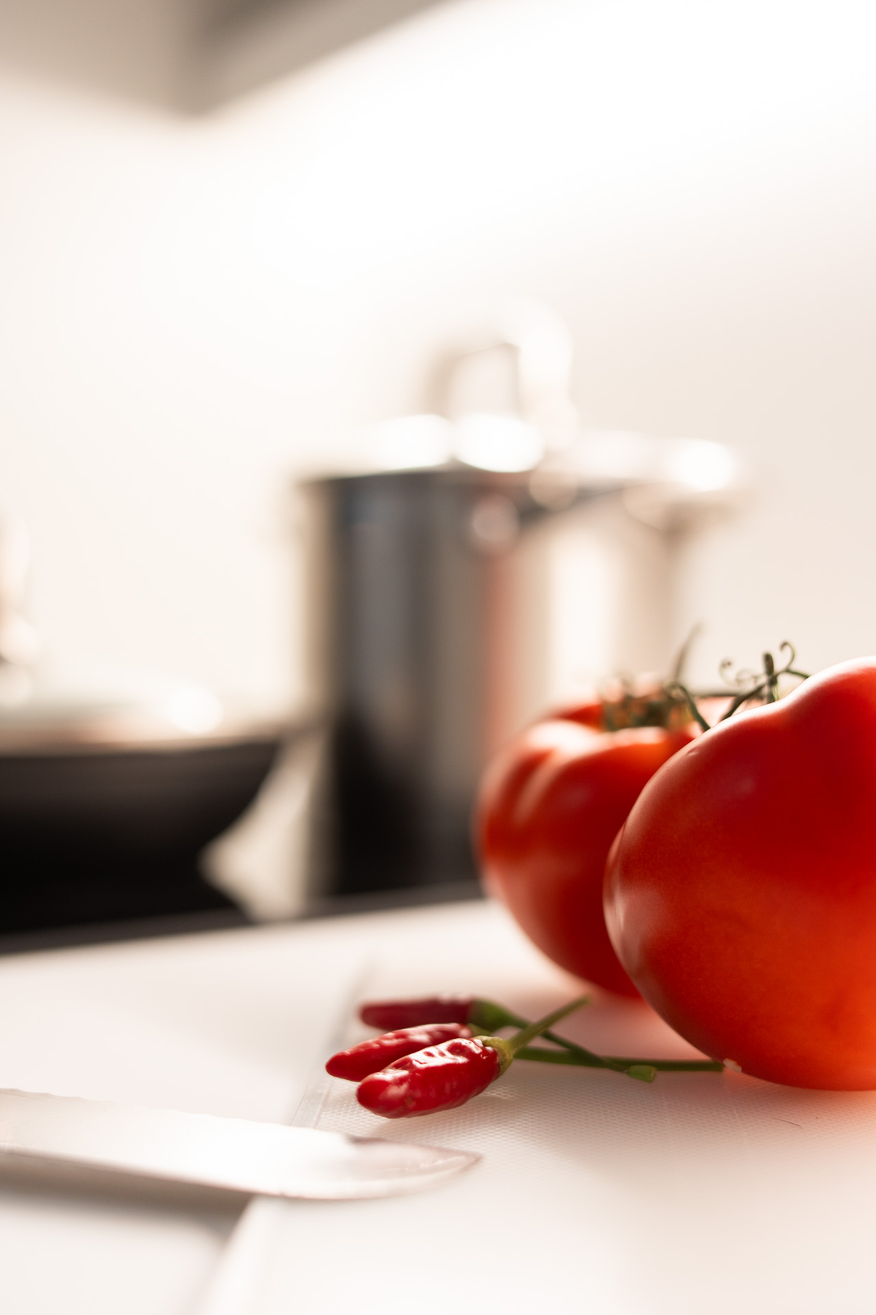 _nf-LeisureDomus_55_M2_Cucina_dettaglio piano di lavoro.jpg